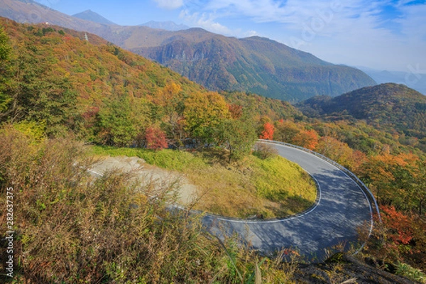 Obraz Road along the mountain with leaves turning color - Nikko, Japan