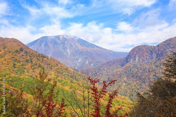 Obraz Mountain with leaves turning color - Nikko, Japan