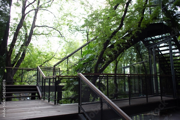 Obraz bridge in the park