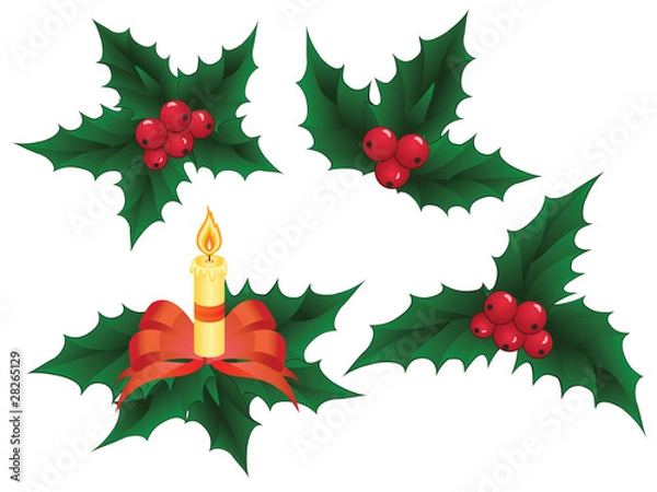 Obraz Christmas holly elements, vector illustration