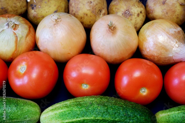 Fototapeta Onions, tomatoes, potaoes and cucumbers on dark gray background close up