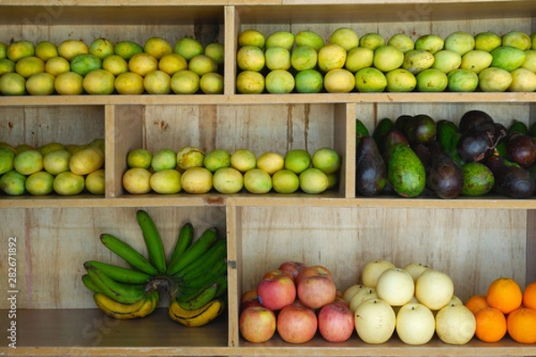 Obraz フルーツ (マンゴー・バナナ・アボカド・リンゴ・オレンジ)