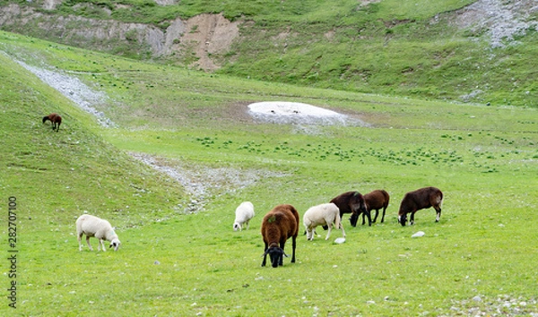 Obraz Innsbruck Austria