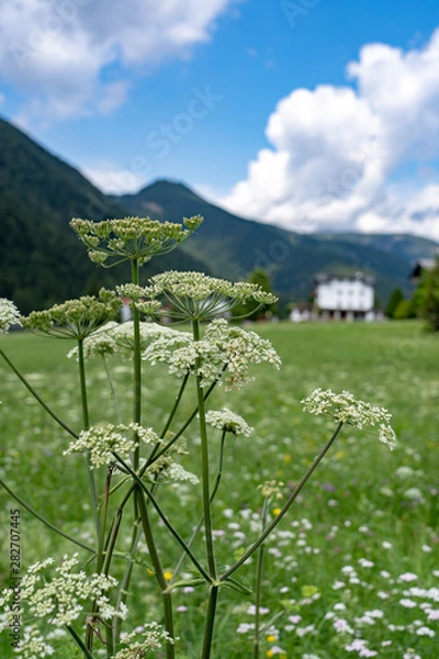 Obraz Włoskie Dolomity