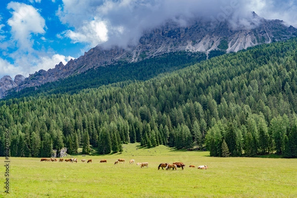 Obraz Italian Dolomites 