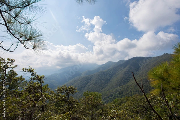 Obraz landscape in the mountains