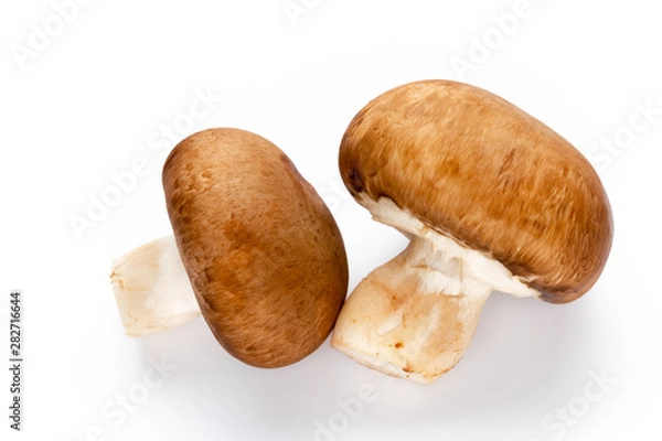 Fototapeta Fresh champignon mushrooms isolated on white.