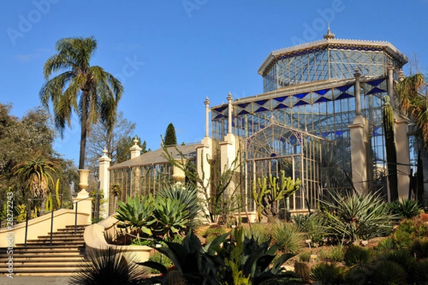 Fototapeta Palm house in a botanic garden