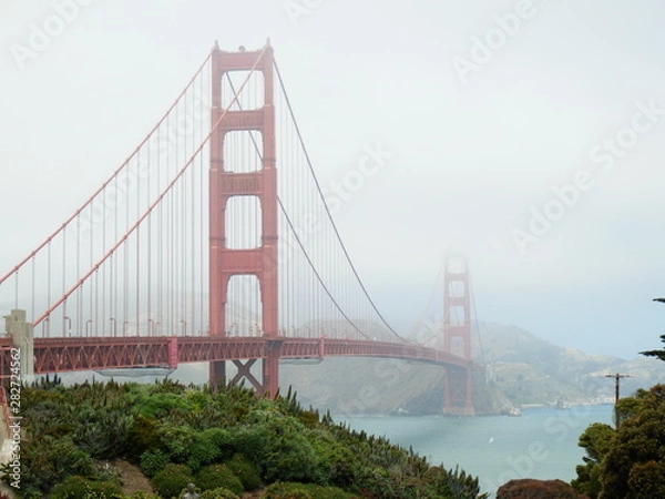 Fototapeta OLYMPUS DIGITAL CAMERA