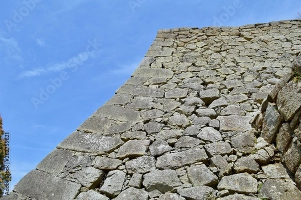 Fototapeta 姫路城の城壁