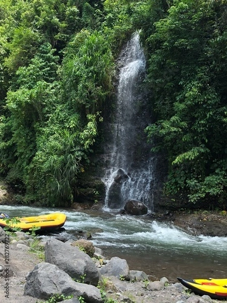 Obraz waterfall in deep forest
