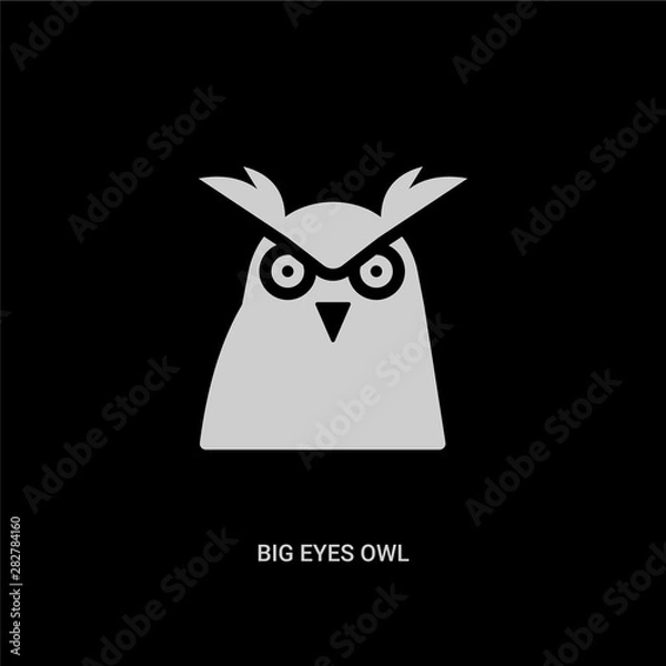 Fototapeta white big eyes owl vector icon on black background. modern flat big eyes owl from animals concept vector sign symbol can be use for web, mobile and logo.