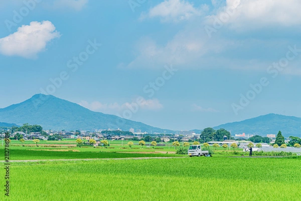 Obraz 日本の田舎風景