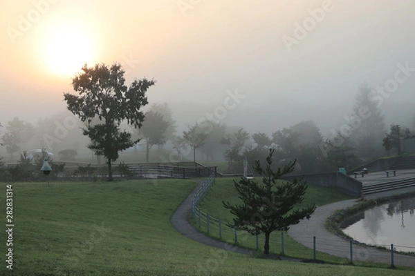 Obraz 霧の中の朝日