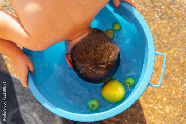Obraz Young boy Bobbing For Apples