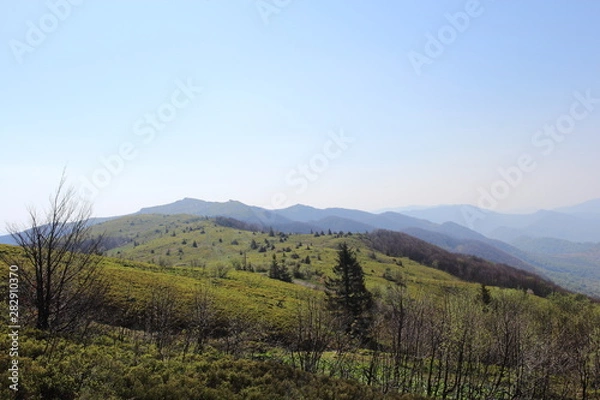 Obraz Bieszczady 2018