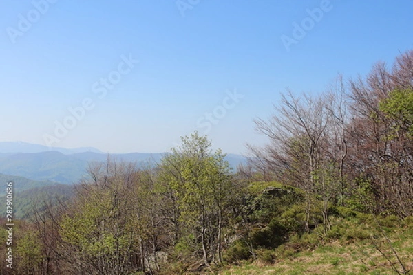 Obraz Bieszczady 2018