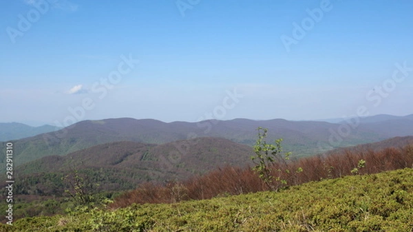 Obraz Bieszczady 2018