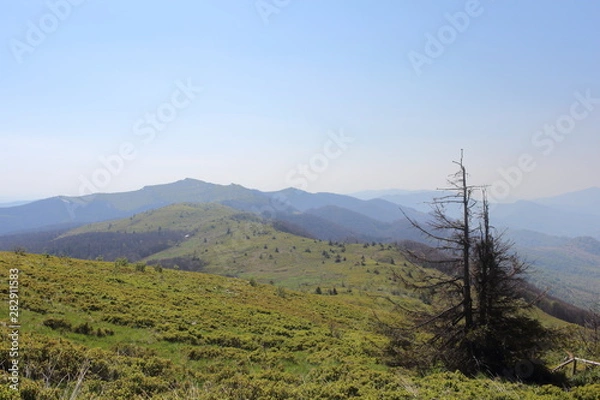 Obraz Bieszczady 2018