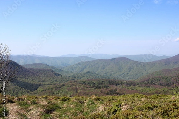 Obraz Bieszczady 2018