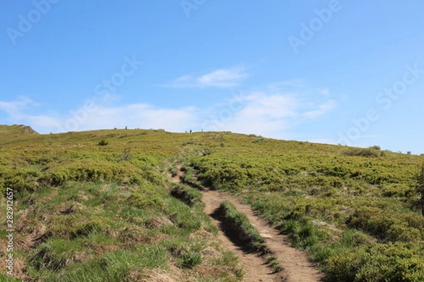 Obraz Bieszczady 2018