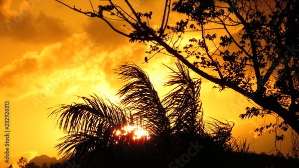 Obraz Carribean sunset