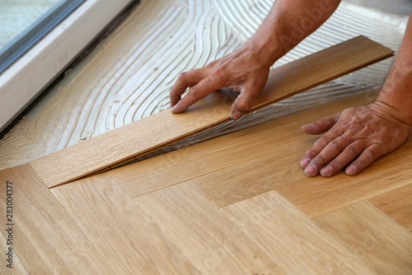 Fototapeta Worker laying parquet flooring. Worker installing wooden laminate flooring