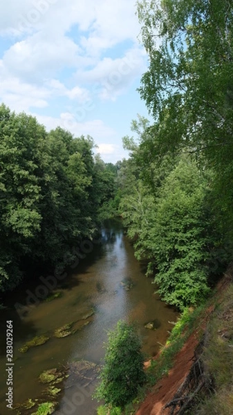 Obraz river in a forest with steep banks