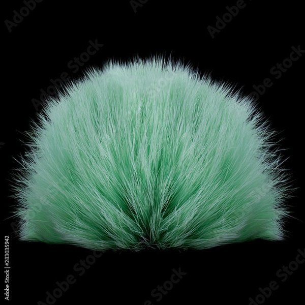 Obraz Green pompom on black background  