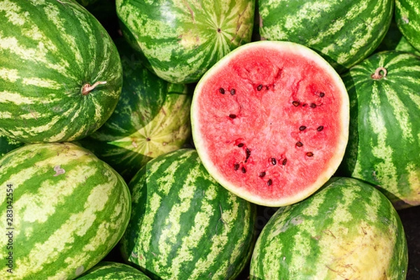 Obraz Red ripe watermelon cut in half on a pile of ripe watermelons in the field. A red cut watermelon view from above.