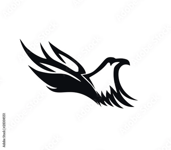 Obraz Eagle (Vector)