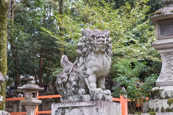 Fototapeta 春日大社　参道