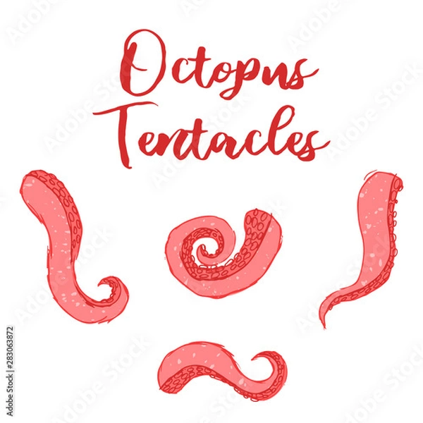 Fototapeta octopus tentacles vector collection, bright colored, editable illustration