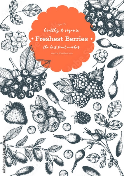 Fototapeta Berries hand drawn vector illustration frame. Hand drawn sketch illustration with goji berries, chokeberry, blueberry, blackberry, raspberry, strawberry. Healthy food design template with berries
