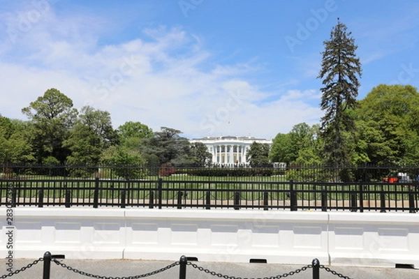 Obraz The White House