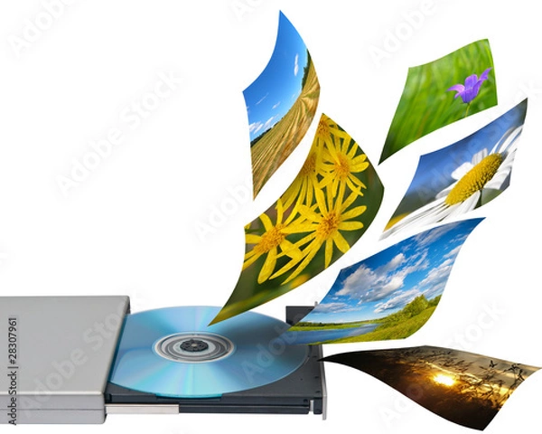 Fototapeta Multimedia concept with cd or dvd rom. Isolated on white.