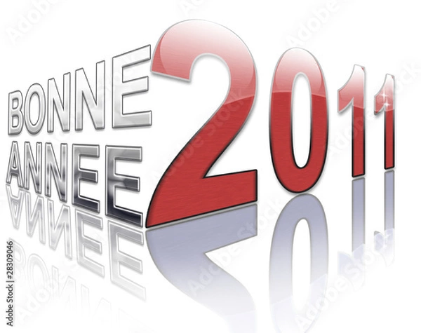 Obraz voeux 2011