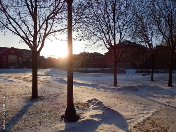 Fototapeta OLYMPUS DIGITAL CAMERA