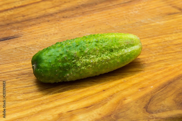 Obraz Cucumber
