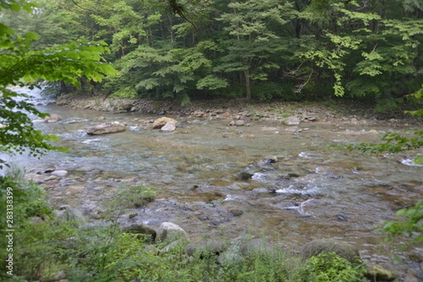 Fototapeta 日本の渓谷