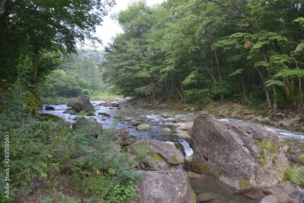 Obraz 日本の渓谷