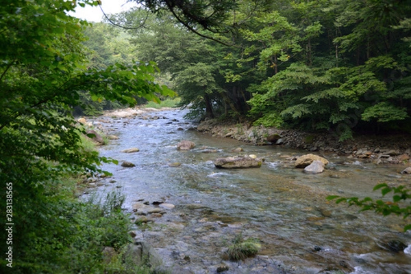 Obraz 日本の渓谷