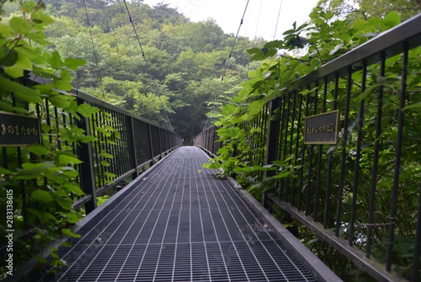 Fototapeta 吊り橋