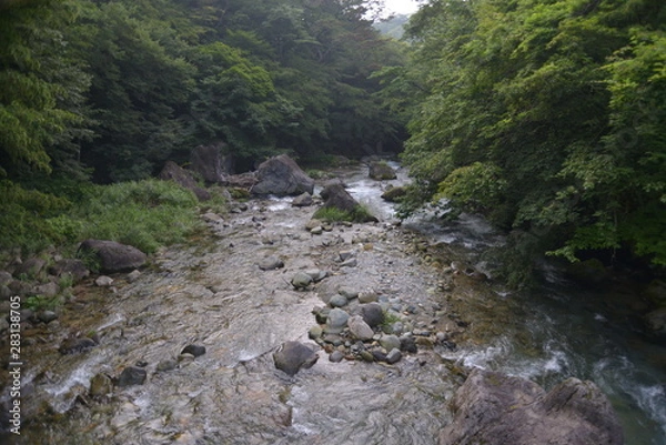 Obraz 日本の渓谷