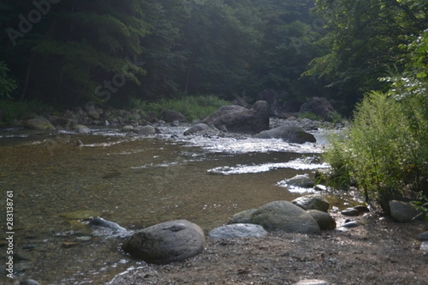 Fototapeta 日本の渓谷