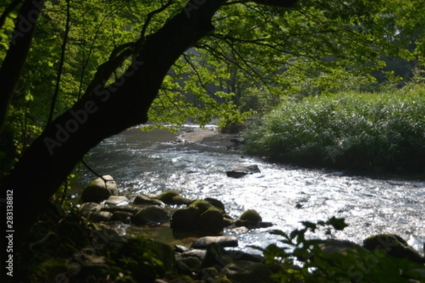 Obraz 日本の渓谷