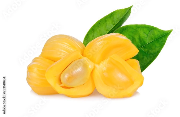 Obraz Jackfruit with jackfruit leaf, isolated on white background