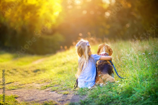 Fototapeta mała dziewczynka przytula szczeniaka rasy beagle, siedząc na trawie w parku i oglądając zachód słońca, najlepszy przyjaciel