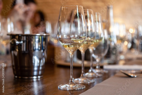 Fototapeta Closeup row of glasses with white wine stand on table, metal bucket for spitting. Concept professional vertical tasting great top white wines, sommelier training, school. Degustation in chateau