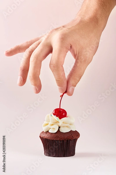 Fototapeta Cupcake decoration. Hand decorating cupcake adding cherry on top. 